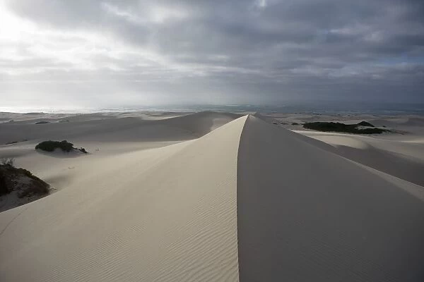 Sand Dunes Cast in Shadow Under a Dramatic Stormy Sky. Arniston, Western Cape Province, South Africa
