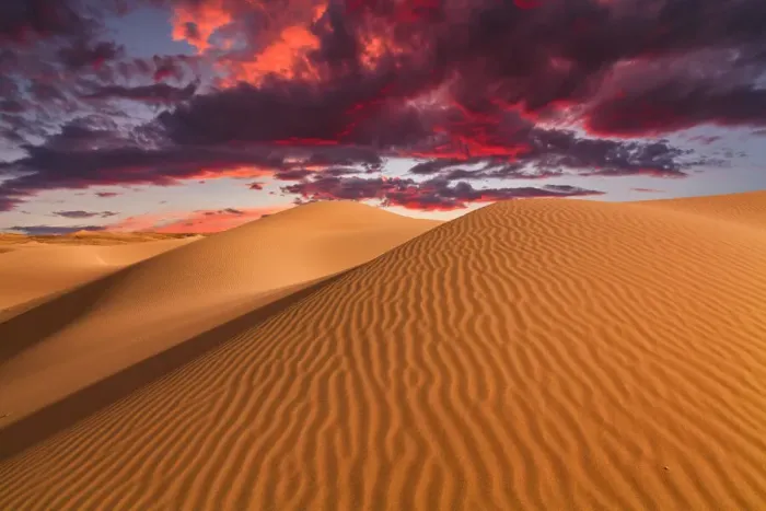 Framed Print : Sand dunes in the desert at sunset Framed Print : Sand dunes in the desert at sunset