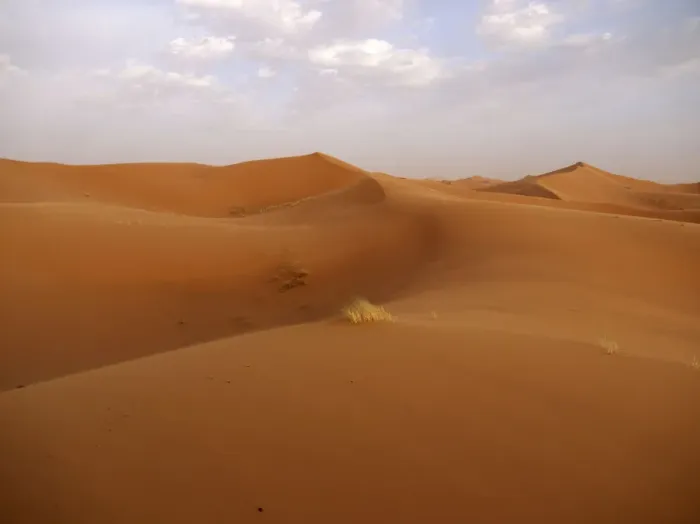 Framed Print : Sand dunes of the Erg Chebbi Desert, near Merzouga, Morocco, North Africa, Africa