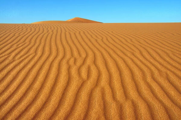 Sand dunes, Erg Chebbi, Morocco, Africa