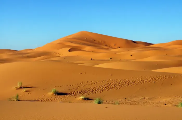 Framed Print : Sand dunes, Erg Chebbi, Morocco, Africa Framed Print : Sand dunes, Erg Chebbi, Morocco, Africa