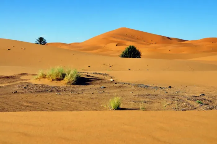 Framed Print : Sand dunes, Erg Chebbi, Morocco, Africa Framed Print : Sand dunes, Erg Chebbi, Morocco, Africa