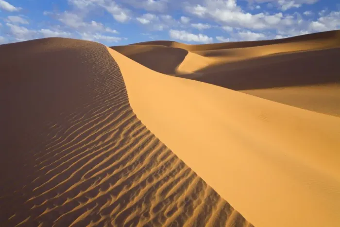 Framed Print : Sand dunes in the Libyan Desert, Sahara, Libya, North Africa, Africa Framed Print : Sand dunes in the Libyan Desert, Sahara, Libya, North Africa, Africa
