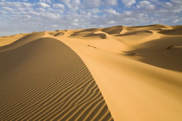 Framed Print : Sand dunes in the Libyan Desert, Sahara, Libya, North Africa, Africa Framed Print : Sand dunes in the Libyan Desert, Sahara, Libya, North Africa, Africa