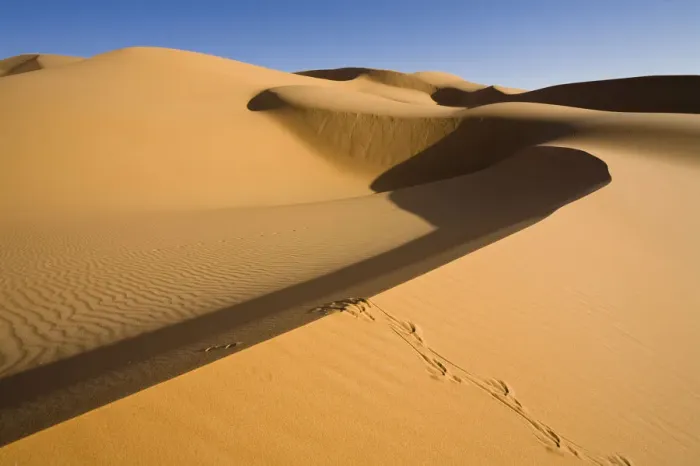Framed Print : Sand dunes in the Libyan desert, Sahara, Libya, North Africa, Africa Framed Print : Sand dunes in the Libyan desert, Sahara, Libya, North Africa, Africa