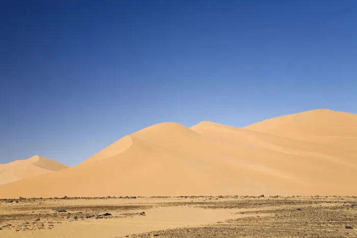 Framed Print : Sand dunes in the Libyan Desert, Sahara, Libya, North Africa, Africa Framed Print : Sand dunes in the Libyan Desert, Sahara, Libya, North Africa, Africa