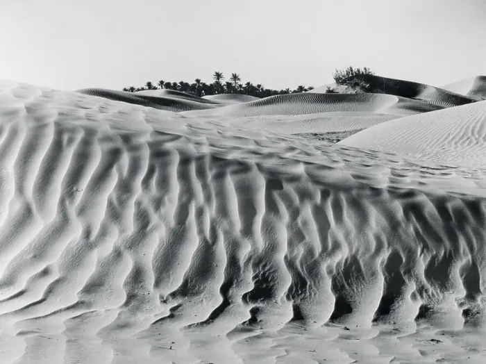 Framed Print : Sand Dunes with Oasis Framed Print : Sand Dunes with Oasis
