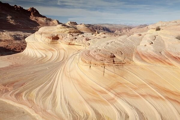 Sand dunes turned into rock, sandstone formations, Coyote Buttes North, Paria Canyon-Vermilion Cliffs Wilderness, Page, Arizona, USA