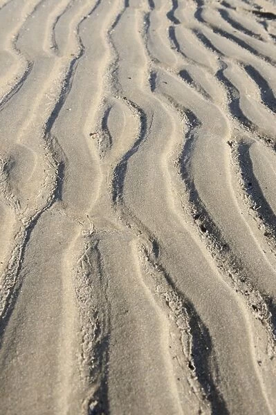 Sand grooves caused by the River Elbe, Wittenbergen, Rissen, Hamburg, Hamburg, Germany