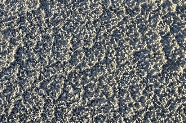 Sand pattern with salt deposits, bank of the Great Salt Lake, Salt Lake City, Utah, USA