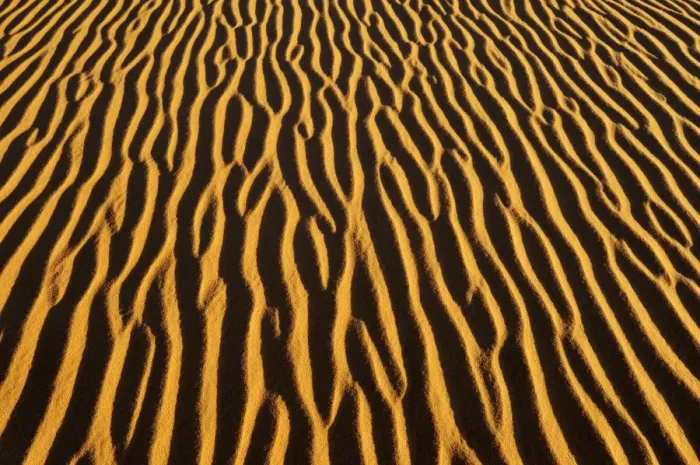 Framed Print : Sand patterns on a dune, In Tehak region, Acacus Mountains or Tadrart Acacus range, Tassili nAjjer National Park, Unesco World Heritage Site, Algeria, Sahara, North Africa Framed Print : Sand patterns on a dune, In Tehak region, Acacus Mountains or Tadrart Acacus range, Tassili nAjjer National Park, Unesco World Heritage Site, Algeria, Sahara, North Africa