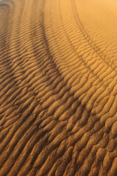 Sand patterns on the surface of a dune, Dunes Noires, Tadrart, Tassili nAjjer National Park, Algeria, Sahara, North Africa
