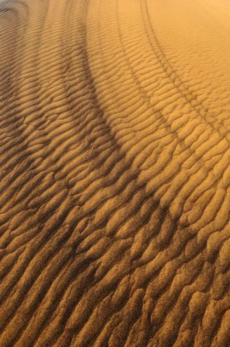 Framed Print : Sand patterns on the surface of a dune, Dunes Noires, Tadrart, Tassili nAjjer National Park, Algeria, Sahara, North Africa Framed Print : Sand patterns on the surface of a dune, Dunes Noires, Tadrart, Tassili nAjjer National Park, Algeria, Sahara, North Africa