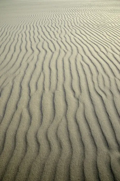 Framed Print : Sand ripples, Kniepsand beach, Amrum Island, Nordfriesland, North Frisia, Schleswig-Holstein, Germany, Europe Framed Print : Sand ripples, Kniepsand beach, Amrum Island, Nordfriesland, North Frisia, Schleswig-Holstein, Germany, Europe