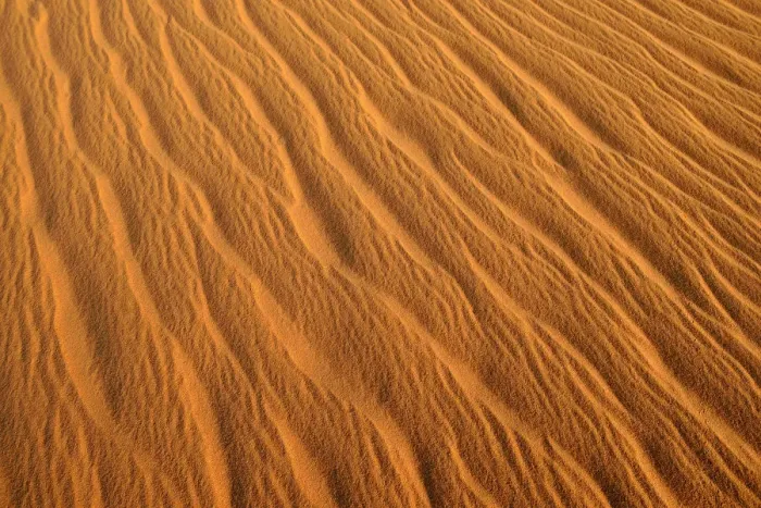 Framed Print : Sand ripples, texture on a sand dune, Tassili nAjjer, Sahara desert, Algeria Framed Print : Sand ripples, texture on a sand dune, Tassili nAjjer, Sahara desert, Algeria
