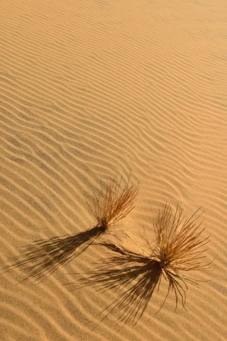 Framed Print : Sand ripples, texture on a sand dune, Tassili nAjjer, Sahara desert, Algeria