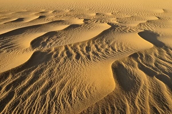 Sand structure, sand dune near Tehenadou, Adrar nAhnet, Adrar Ahnet, Algeria, Sahara, North Africa