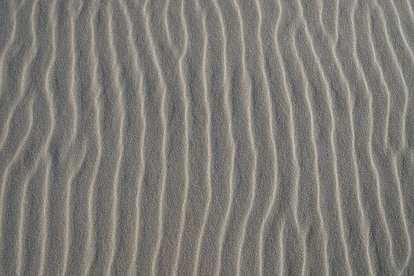 Sand structure, wind ripples, beach, Denmark
