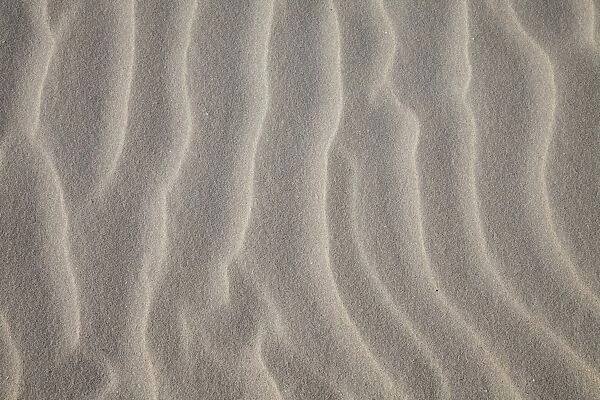 Sand structures, North Sea, Lower Saxony, Germany