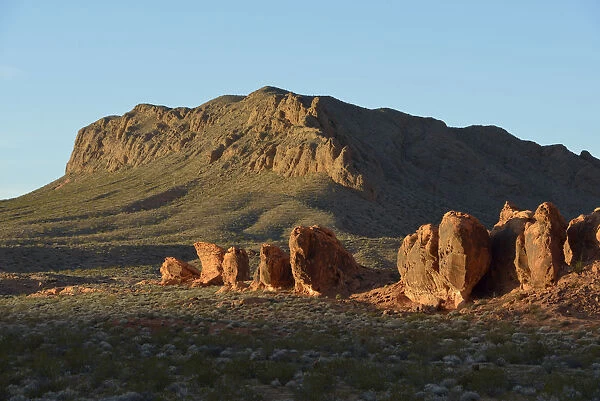Sandstone boulders in desert at Valley of Fire State Park, Nevada, USA