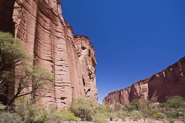Sandstone canyon in the national park, Parque Nacional Talampaya, Argentina, South America