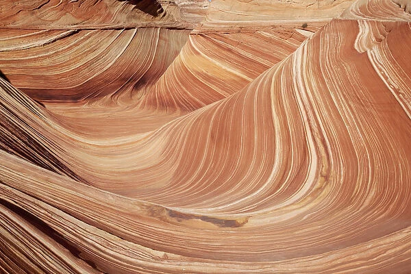Sandstone formations, Coyote Buttes North, Vermilion Cliffs Wilderness, Page, Arizona, USA, America