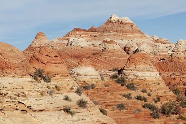 Sandstone formations, Coyote Buttes North, Vermilion Cliffs Wilderness, Page, Arizona, USA, America