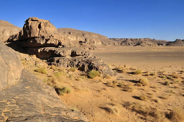 Sandstone rock formation and Oeud, Wadi on Tasset Plateau, Tassili n Ajjer National Park, Unesco World Heritage Site, Wilaya Illizi, Algeria, Sahara, North Africa