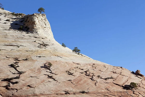 Sandstone rock, Zion Plateau, Zion National Park, Utah, USA, America