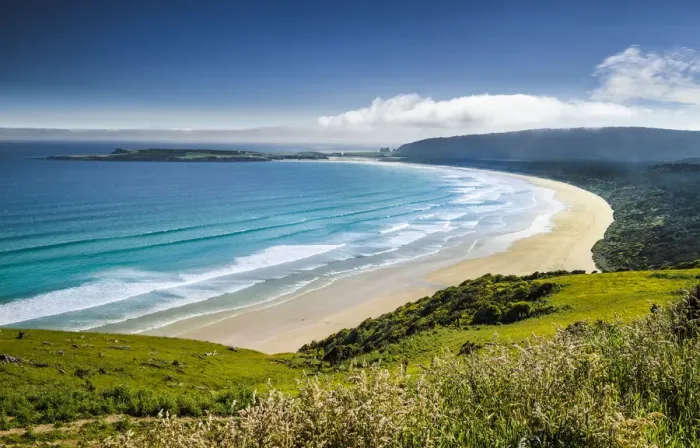 Framed Print : Sandy beach on the coast, Tautuku Bay, Catlins, South Island, New Zealand Framed Print : Sandy beach on the coast, Tautuku Bay, Catlins, South Island, New Zealand