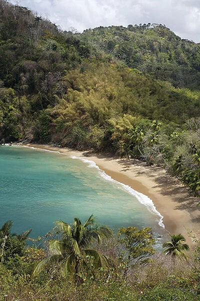Sandy beach, Parlatuvier Bay, Tobago, Trinidad and Tobago