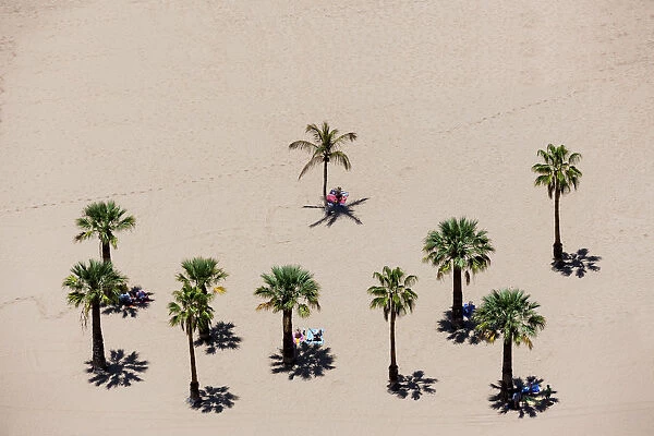 The sandy beach of Playa de las Teresitas with palm trees, birds eye view, San Andres, La Montanita, Tenerife, Canary Islands, Spain