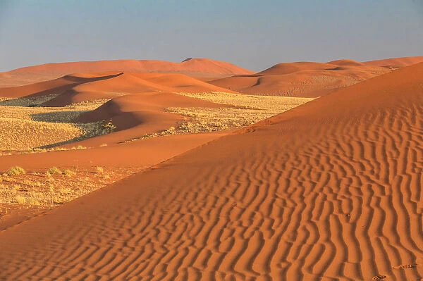 Sandy dunes of the Namib Desert Africa