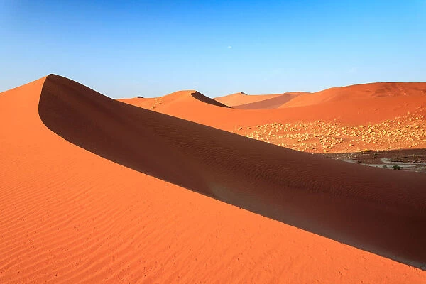 The sandy dunes of the Namib Desert Africa