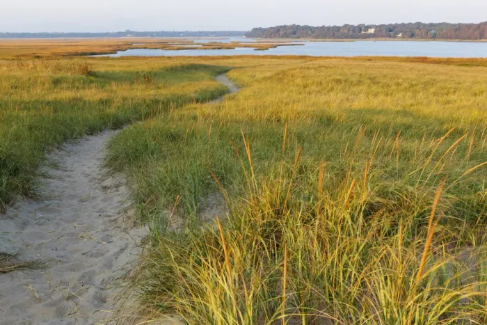 Framed Print : Sandy path through dune grass at Coast Guard Beach, Eastham, Cape Cod National Seashore, Massachusetts, USA