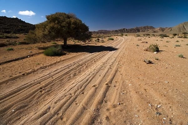 Sandy track passing through Richtersveld National Park, Northern Cape, South Africa, Africa