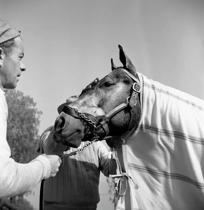Framed Print : Santa Anita Framed Print : Santa Anita
