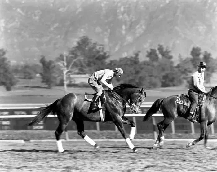 Framed Print : Santa Anita Framed Print : Santa Anita