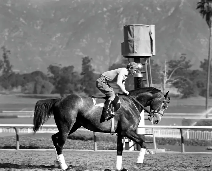 Framed Print : Santa Anita Framed Print : Santa Anita