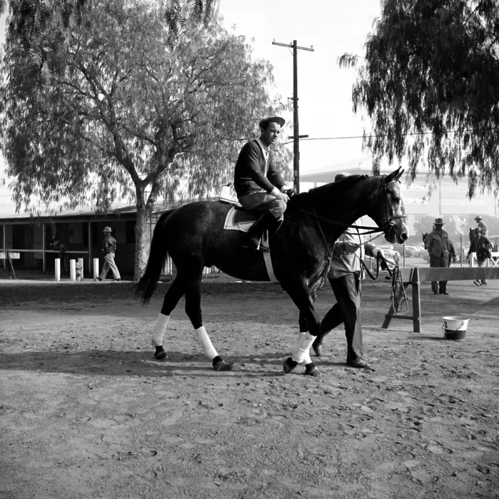 Framed Print : Santa Anita Framed Print : Santa Anita