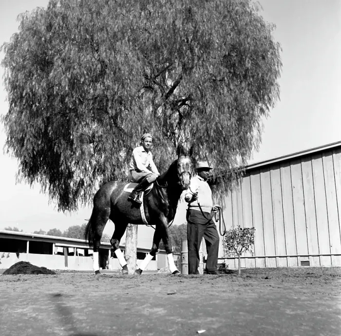 Framed Print : Santa Anita Framed Print : Santa Anita