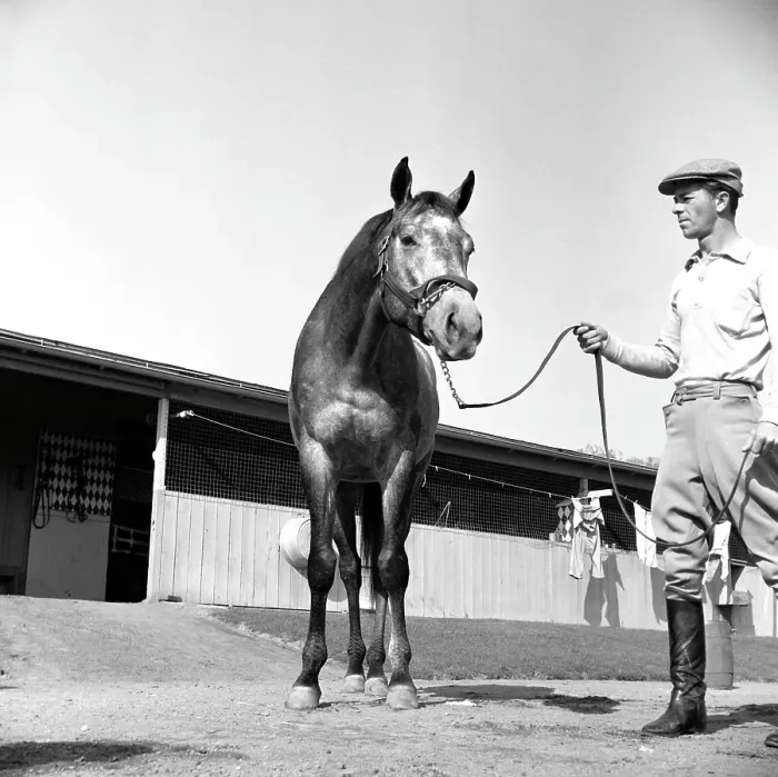 Framed Print : Santa Anita Framed Print : Santa Anita