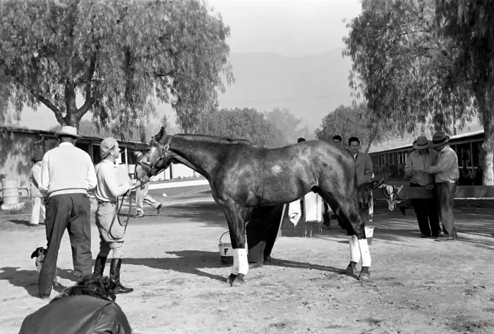 Framed Print : Santa Anita Framed Print : Santa Anita