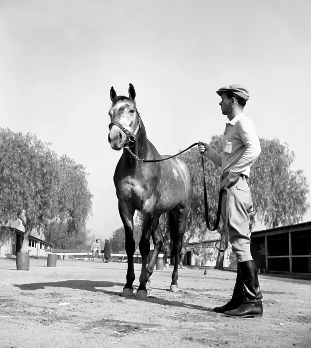Framed Print : Santa Anita Framed Print : Santa Anita