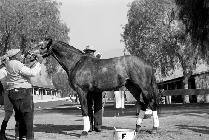 Framed Print : Santa Anita Framed Print : Santa Anita
