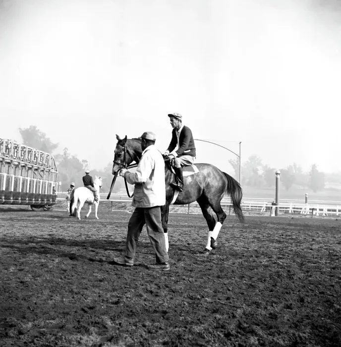Framed Print : Santa Anita Framed Print : Santa Anita