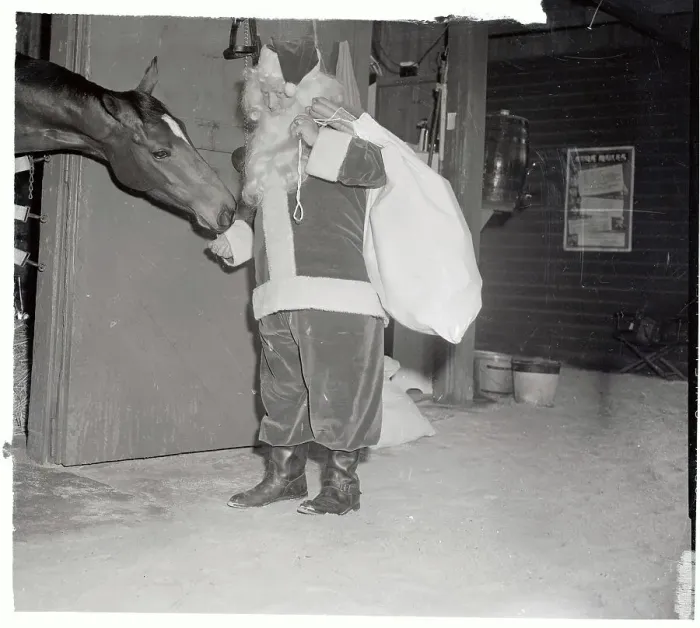 Framed Print : Santa Feeding a Horse