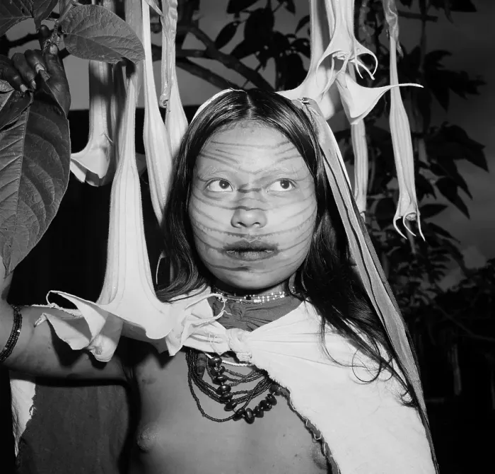Framed Print : Santo Domingo de los Colorados, Ecuador Framed Print : Santo Domingo de los Colorados, Ecuador