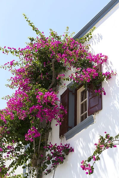 Santorini house
