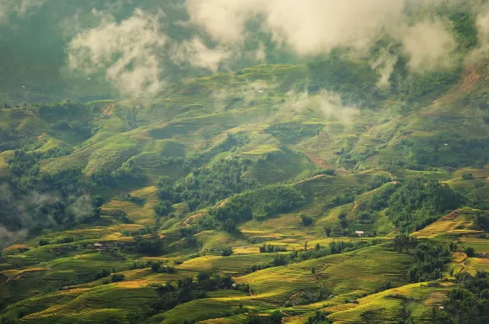 Framed Print : Sapa landscape Framed Print : Sapa landscape